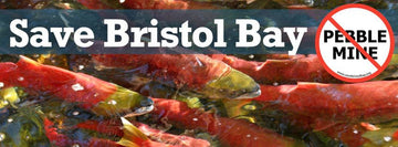 5 Ways to Preserve the Environment, Protect Jobs, and Save Bristol Bay
