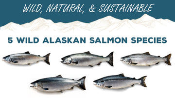 The Five Wild Alaskan Salmon Species