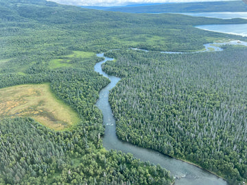 One Saved, More to Go: The Protection of Bristol Bay and the Future of Idaho Rivers