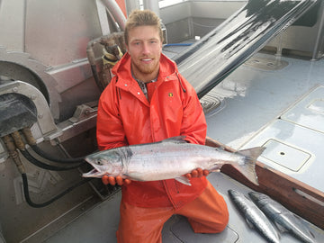 What Sets Sockeye Salmon Apart from the Rest