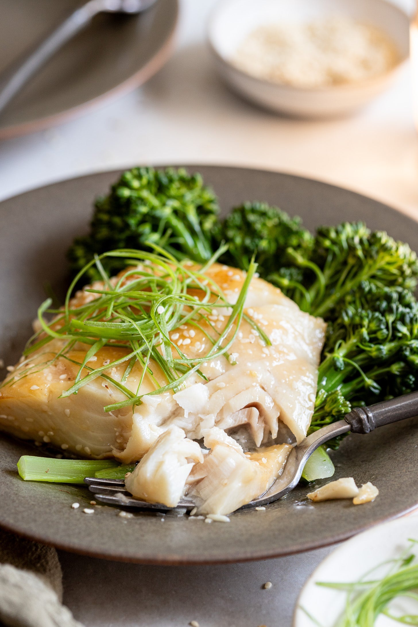 Miso Black Cod Wild For Salmon