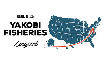 Where Does The Fish You Eat Come From? Issue #1 Yakobi Fisheries Lingcod