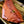Load image into Gallery viewer, Alaskan King Salmon Fillet
