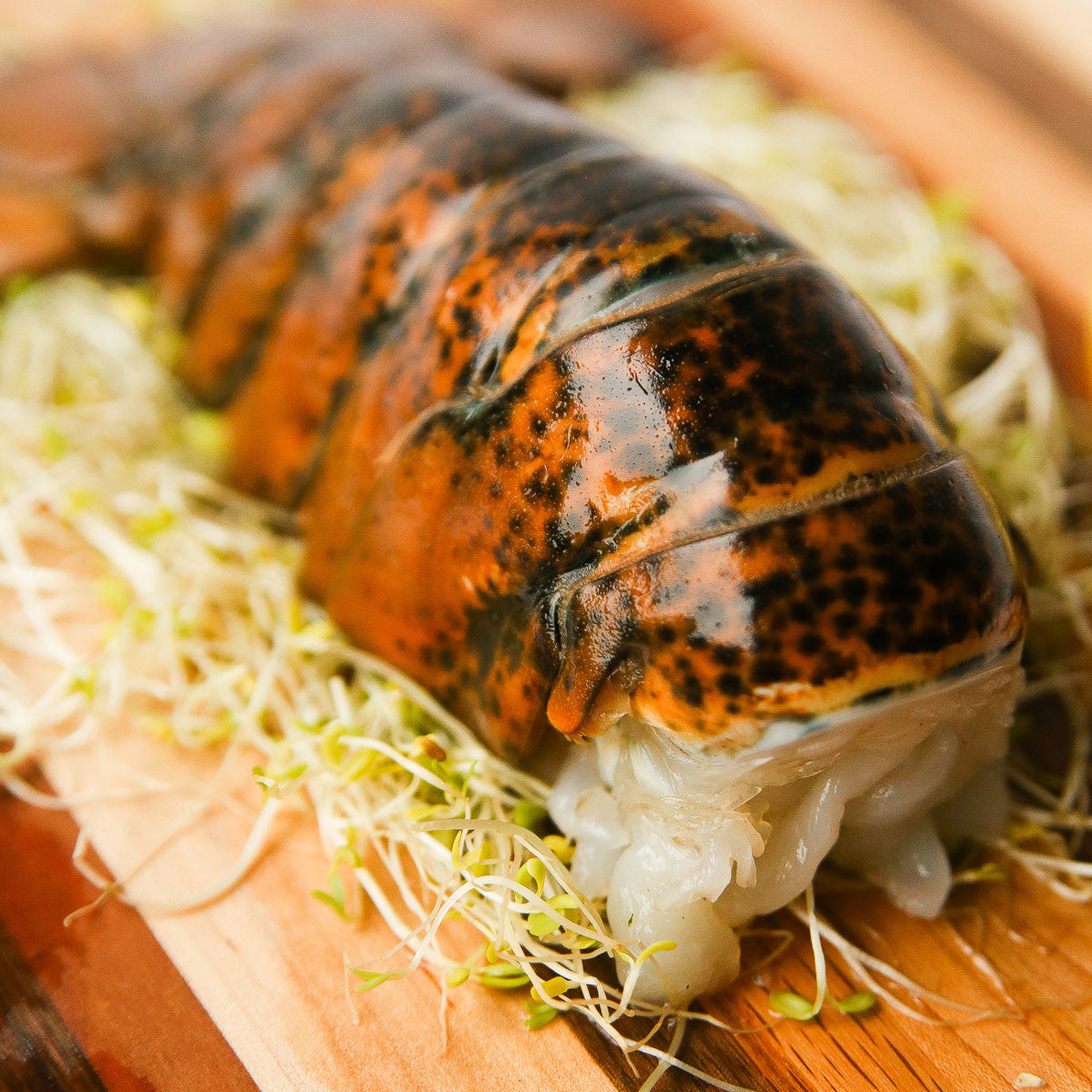Wild Caught Lobster Tails 