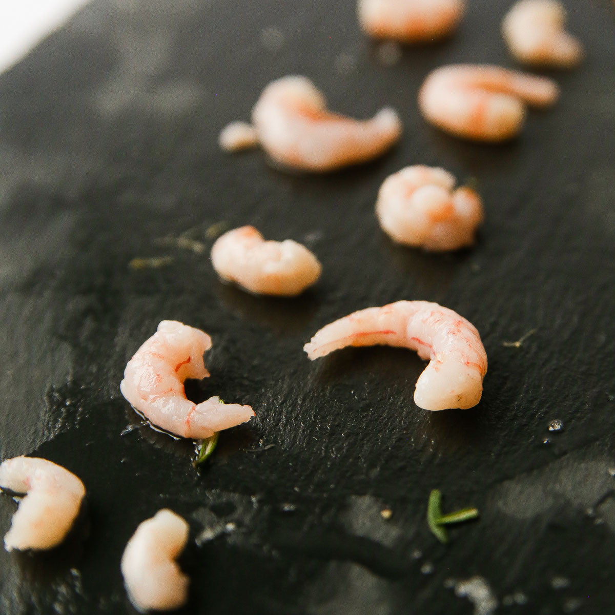 Wild Caught Salad Shrimp